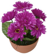 BerryHome Gerbery fialové 7 květů v terakotové misce, průměr 22/24 cm - Artificial Flower