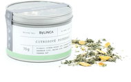 Bylinný čaj: Citrusové potěšení 70g - Čaj