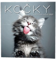 BALOUŠEK poznámkový Kočky 2027, 28,5 × 28,5 cm - Wall Calendar