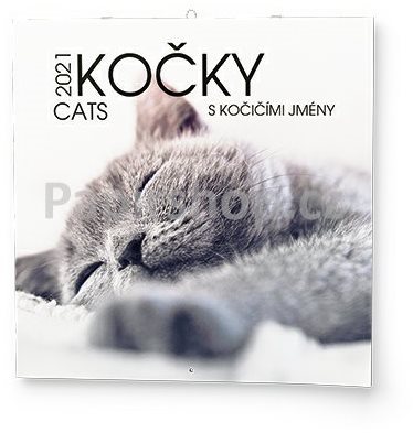 BALOUŠEK- Cats - Wall Calendar - Main image