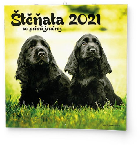 BALOUŠEK - Kölyökkutyák - Falinaptár - Fő fotó