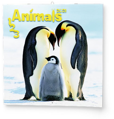 BALOUŠEK - 1-2-3 Animals - Wall Calendar - Main image
