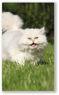 Vikpap Weekly diary - cat 2024 - Planner