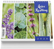 Vikpap Desk calendar (175x140 mm) - Medicinal plants 2024 - Desk Calendar