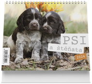 Vikpap Desk calendar (175x140 mm) - Dogs and puppies 2024 - Desk Calendar