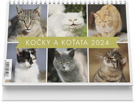 Vikpap Desk calendar (220x148 mm) - Cats and kittens 2024 - Desk Calendar