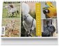 Stolní kalendář Vikpap Stolní kalendář (220x148 mm) - Mazlíčci 2024 - Stolní kalendář