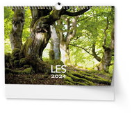 Baloušek Print Wall calendar - Forest - A3 2024 - Wall Calendar