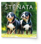 Baloušek Print Wall calendar LP - Puppies 2024 - Wall Calendar