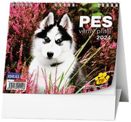 Baloušek Print Desk calendar - IDEAL - Dog, faithful friend 2024 - Desk Calendar