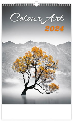 Helmet Wall calendar - Colour Art 2024 - Wall Calendar - Main image