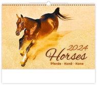 Helmet Wall calendar - Horses 2024 - Wall Calendar