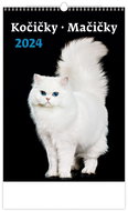 Helmet Wall calendar - Kittens/Cats 2024 - Wall Calendar