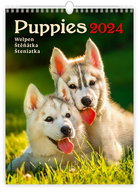 Helmet Wall calendar - Puppies 2024 - Wall Calendar