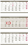 Helmet Wall calendar - Three months folded grey 2024 - Wall Calendar