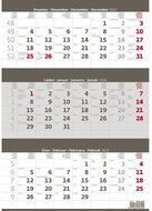 Helmet Wall calendar - Three months grey 2024 - Wall Calendar