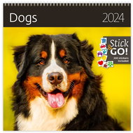 Helmet Wall calendar LP - Dogs 2024 - Wall Calendar