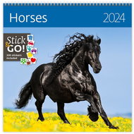 Helmet Wall calendar LP - Horses 2024 - Wall Calendar