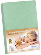 Bellatex Jersey with elastane - 160 × 200 cm - light green - Bedsheet