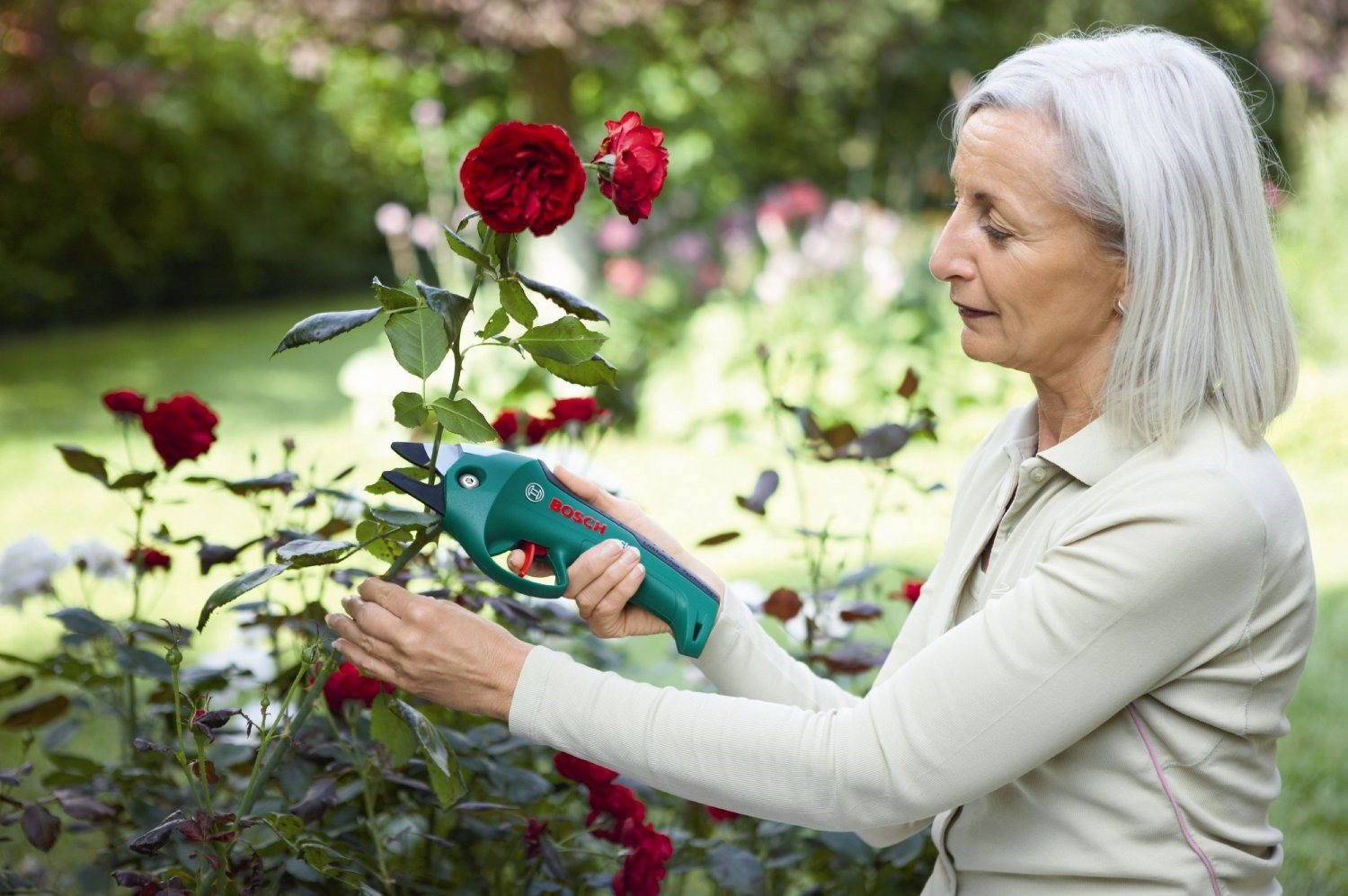 Bosch ciso pruner sale