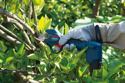 Bosch Pro Pruner Set (2x 3.0Ah/12V, Carton) - Pruning Shears