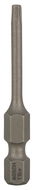 BOSCH Šroubovací bit zvlášť tvrdý Extra-Hart T10, 49 mm 2.607.001.632 - Bit