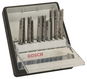 BOSCH 10dílná sada pilových plátků Robust Line, varianta Metal, se stopkou T2.607.010.541 - Sada pilových listů