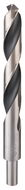 BOSCH Spirálový vrták HSS PointTeQ 19,0 mm (zúžená stopka) 2.608.577.314 - Vrták