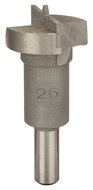 BOSCH Sukovník osazený tvrdokovem 26 x 56 mm, d 8 mm 2.608.596.979 - Drill Bit