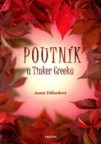 Poutník u Tinker Creeku - Kniha - Main image