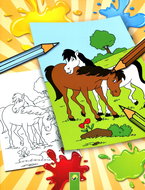 Schwager & Steinlein Omalovánky Koně - Omalovánky