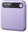 Boya Notra Purple