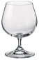 BOHEMIA ROYAL CRYSTAL 2FOR2 glass 440 ml - Glass