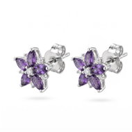 BROSWAY Fancy Magic Purple FMP136 (Ag 925/1000, 1.04g) - Earrings