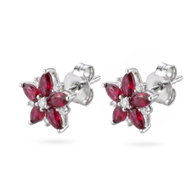 BROSWAY Fancy Passion Ruby FPR147 (Ag 925/1000, 1.04g) - Earrings