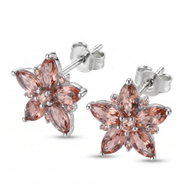 BROSWAY Fancy Tender Pink FTP29 (Ag 925/1000, 2.4g) - Earrings