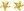Earrings STAR gold
