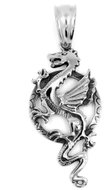 Bruno Dragon Pendant - Charm