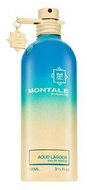Montale Aoud Lagoon parfémovaná voda unisex 100 ml - Eau de Parfum