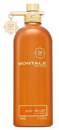 Montale Aoud Melody parfémovaná voda unisex 100 ml - Eau de Parfum