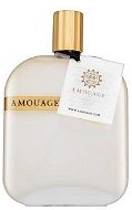 Amouage Library Collection Opus V Eau de Parfum Unisex 100ml - Eau de Parfum