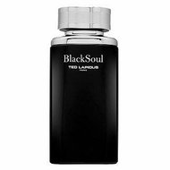 Ted Lapidus Black Soul toaletní voda pro muže 100 ml - Eau de Toilette