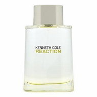 Kenneth Cole Reaction toaletní voda pro muže 100 ml - Eau de Toilette