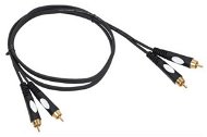 BST PPK-RCAM-RCAM-1.5 - Audio kabel