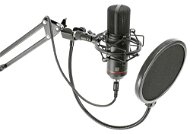 BST STM300PLUS - Mikrofon