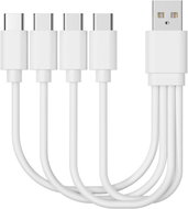 BlueTouch USB-C Charging Cable 4-in-1 - Power Cable