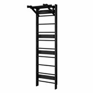 BusyKids 2in1 children's ladders with trapeze black - Hayrack