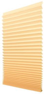 Paper Blinds PAPL 100x200 Beige - Venetian Blinds