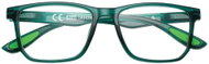 Zippo Reading Glasses 31ZG8CRV100 +1.00 - Glasses