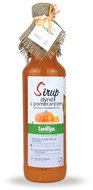 Camellus Classic Pumpkin Syrup with orange, 0,5 l - Syrup